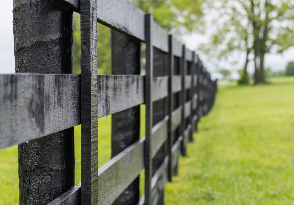 Looking Down the Line of Black Horse Fence with focus on front post